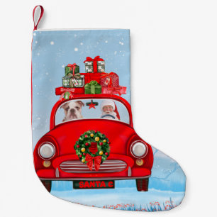 Englische Bulldogge im Auto mit dem Weihnachtsmann Kleiner Weihnachtsstrumpf