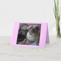 Englische Bulldogge in der rosa Geburtstagskarte