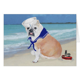 Englische Bulldogge Matrose