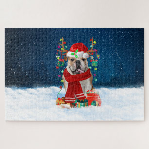 Englische Bulldogge mit Weihnachtsgeschenken
