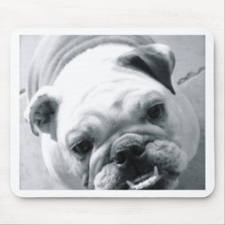 Englische Bulldogge Mousepad