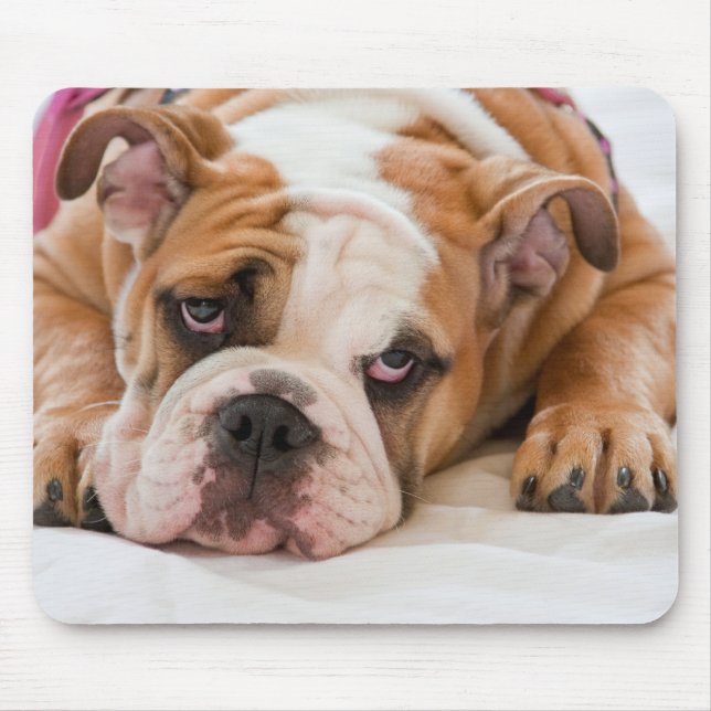 Englische Bulldogge Mousepad (Vorne)