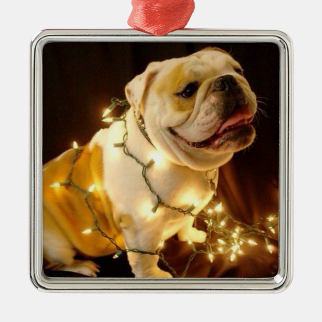 Englische Bulldogge Weihnachtsbaumverzierung Silbernes Ornament (Vorne)