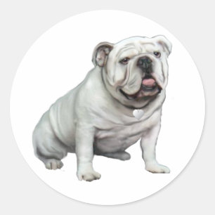 Englische Bulldogge - Weiß 1 Runder Aufkleber