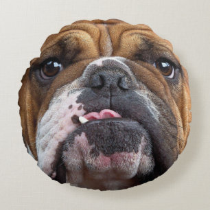 Englische Bulldogge Wurf Kissen