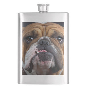 Englische Bulldogge Wurf Kissen Flachmann