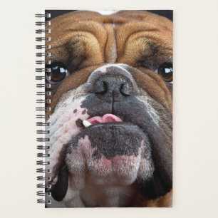 Englische Bulldogge Wurf Kissen Planer