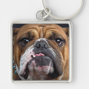 Englische Bulldogge Wurf Kissen Schlüsselanhänger