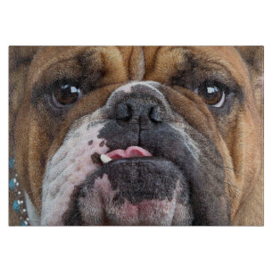 Englische Bulldogge Wurf Kissen Schneidebrett