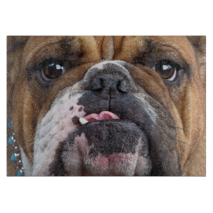 Englische Bulldogge Wurf Kissen Schneidebrett