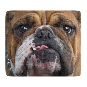 Englische Bulldogge Wurf Kissen Schneidebrett