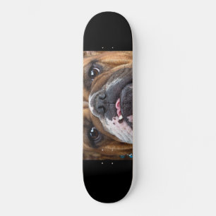 Englische Bulldogge Wurf Kissen Skateboard