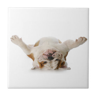 Englische Bulldoggen-Keramik-Fliese Fliese