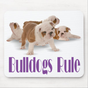 Englische Bulldoggen regieren Hunde-Mauspad Canine Mousepad