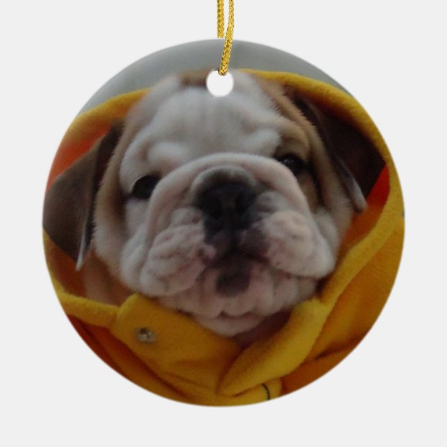 Englische Bulldoggen-Welpen-Verzierung Keramik Ornament (Vorne)