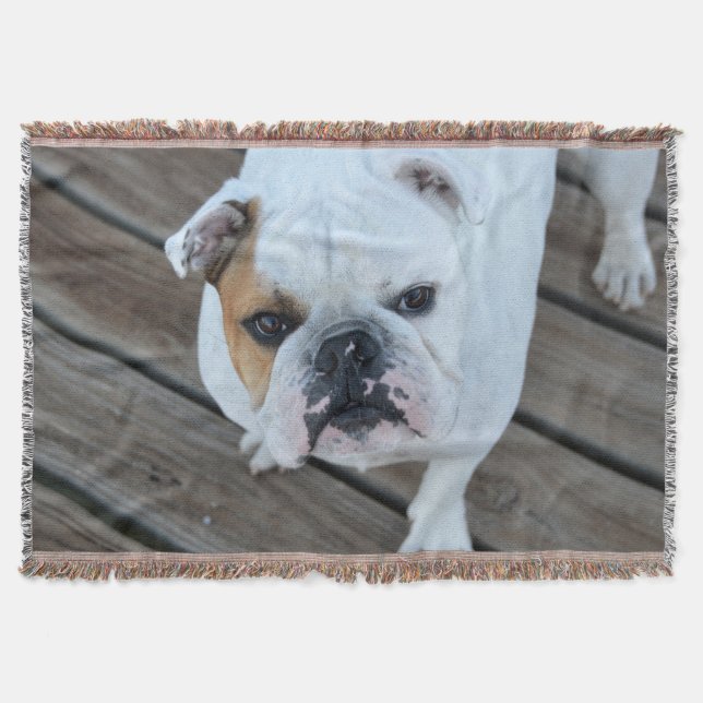Englische Bulldoggen-Wurfsdecke Decke (Vorderseite)