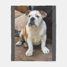 Englische Bulldoggendecke Fleecedecke