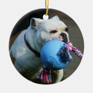Englische Bulldoggenverzierung Keramikornament