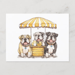 Englische Bullhunde laufen auf einer Limonade Postkarte