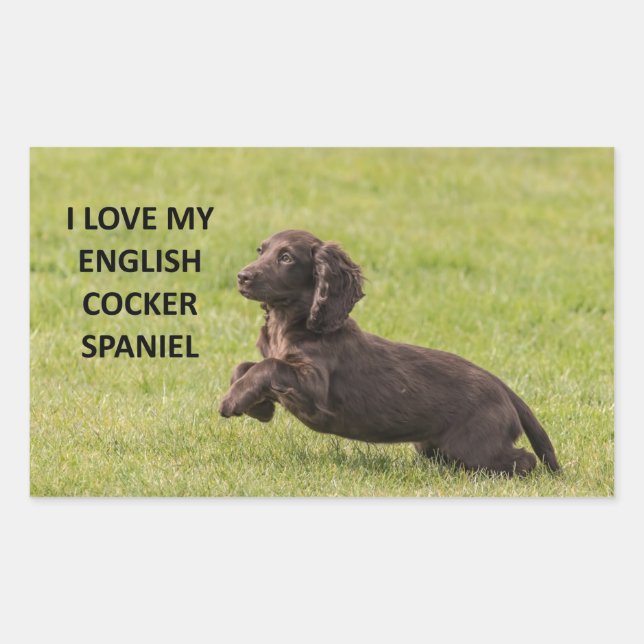 englische Cocker spaniel Liebe mit Bild Rechteckiger Aufkleber (Vorderseite)