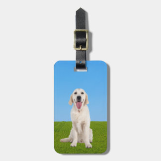 Englische Creme Golden Retriever | Gepäckanhänger