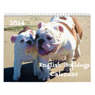Englische Druckkalender der Bulldoggen-2014 Kalender