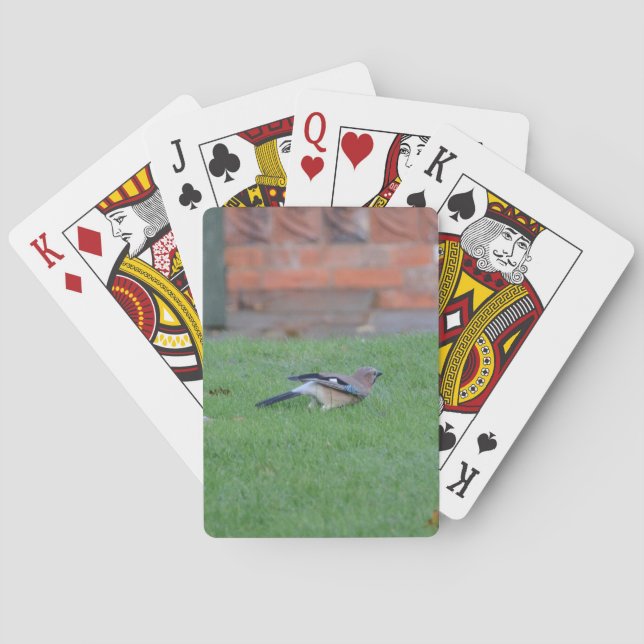 Englische Jay Spielkarten (Rückseite)