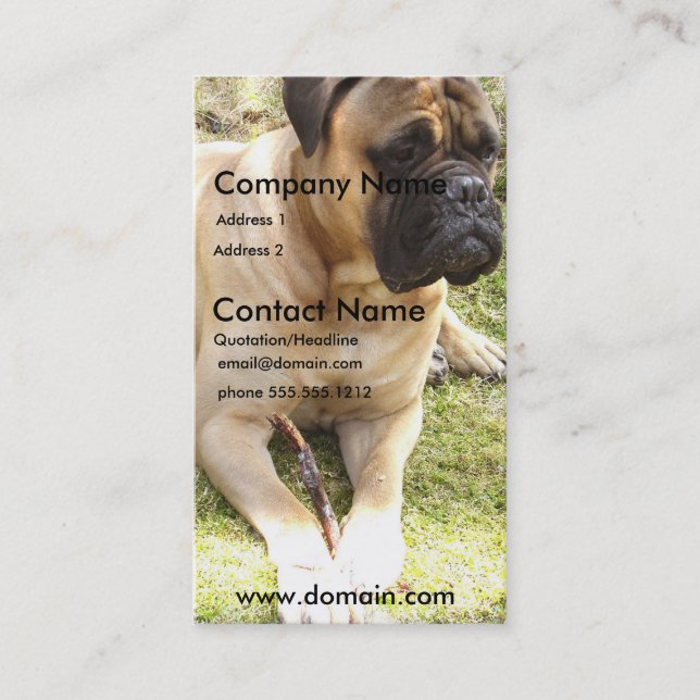 Englische Mastiff-HundeVisitenkarte Visitenkarte (Vorderseite)