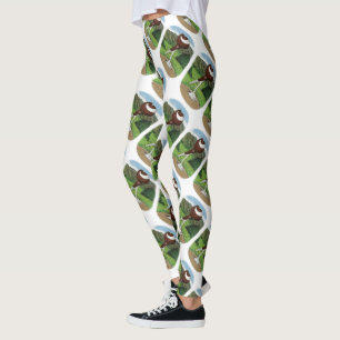 Englische Pouter-Taube mit Bergen Leggings
