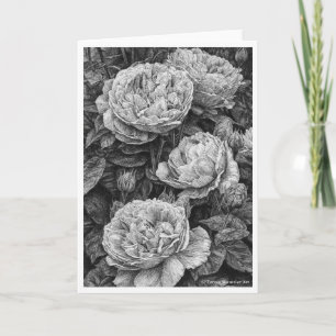 Englische Rose Pen and Ink Zeichn Card Karte