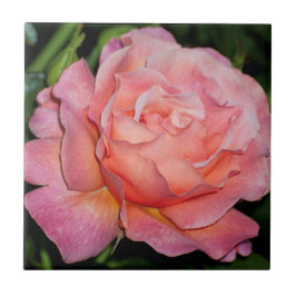 Englische Rosen-Keramik-Fliese Fliese