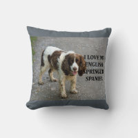 englische springer spaniel lw Liebe w picc
