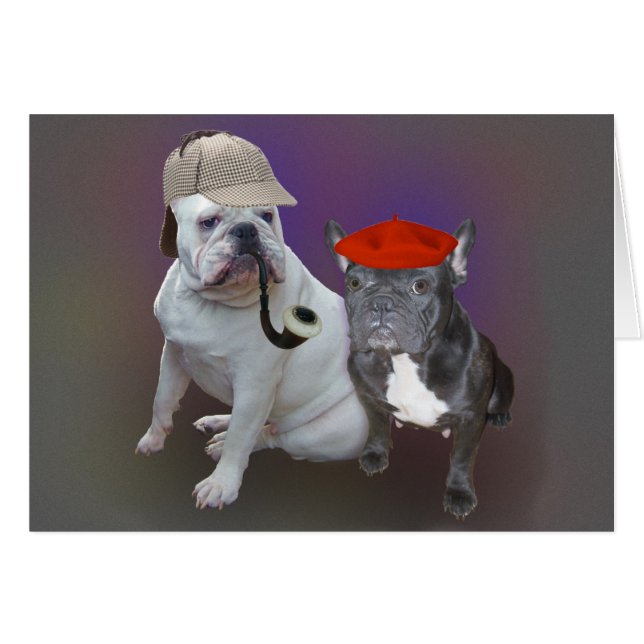 Englische und französische Bulldoggen (Vorderseite (Horizontal))