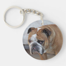 Englischer Bulldog-Acrylring / Hundeschlüssel
