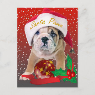 Englischer Bulldog Welpe in Weihnachtsmannmütze Ca Feiertagspostkarte
