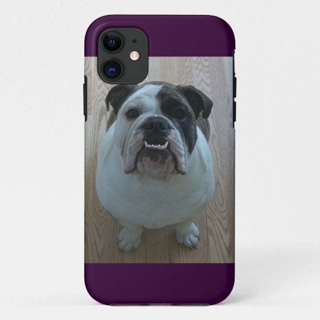 Englischer Bulldogge iPhone 5 Fallhalter Case-Mate iPhone Hülle (Rückseite)