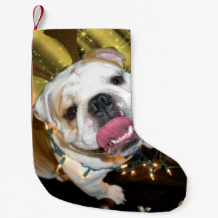 Englischer Bulldogge WeihnachtsStrumpf Kleiner Weihnachtsstrumpf
