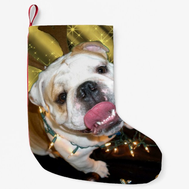 Englischer Bulldogge WeihnachtsStrumpf Kleiner Weihnachtsstrumpf (Vorderseite)
