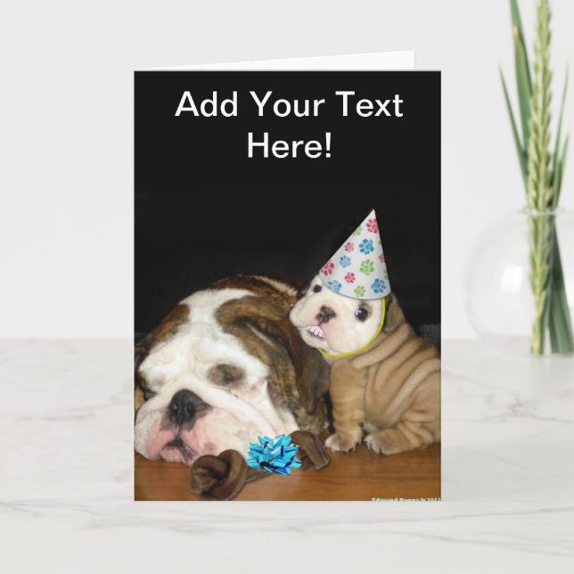 Englischer Bulldoggen-Geburtstag Karte (Vorderseite)
