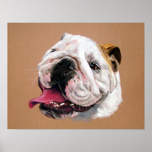 Englischer Bulldoggen-Hundeporträt-Plakat-Druck Poster