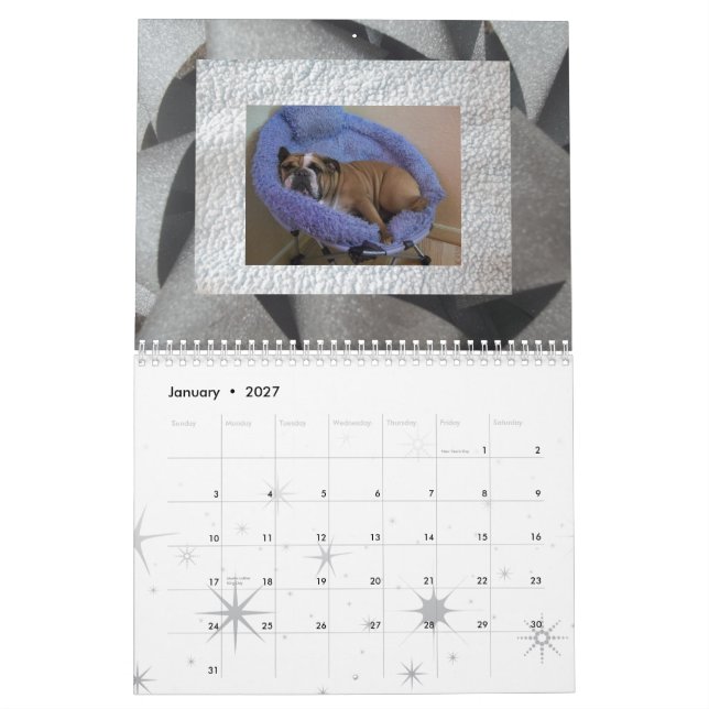 Englischer Bulldoggenkalender! Kalender (Jan 2027)
