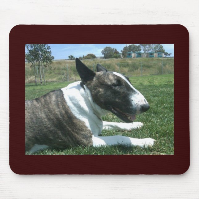 Englischer Bullterrier Mousepad (Vorne)