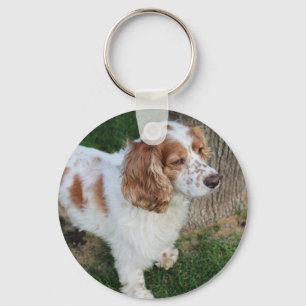 Englischer Cocker Spaniel orange und weiß voll Schlüsselanhänger