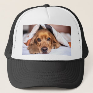 Englischer Cocker Spanier Hund Truckerkappe