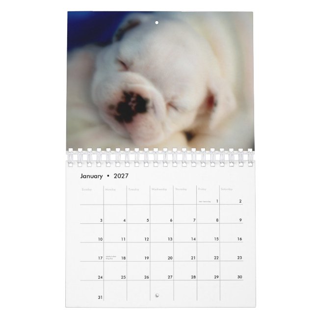 Englischer Kalender der Bulldoggen-Welpen-2015 (Jan 2027)