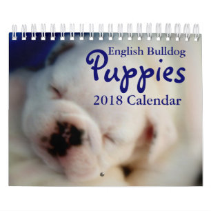 Englischer Kalender der Bulldoggen-Welpen-2018