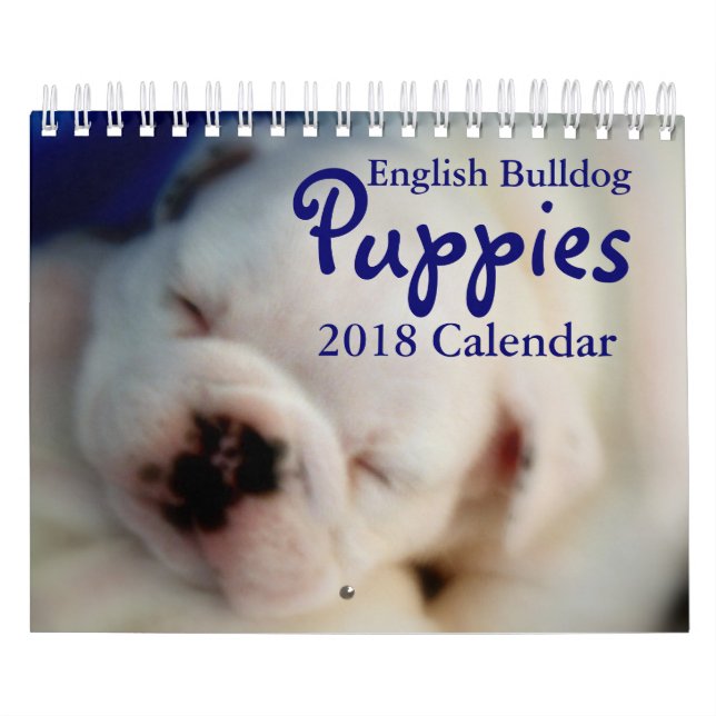 Englischer Kalender der Bulldoggen-Welpen-2018 (Titelbild)