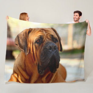 ENGLISCHER MASTIFF FLEECEDECKE