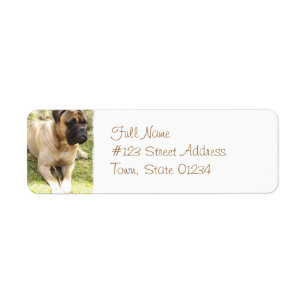 Englischer Mastiff-Rücksendeadresse-Aufkleber