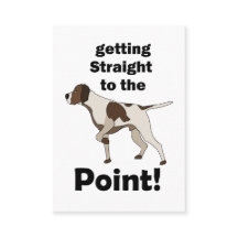 Englischer Pointer direkt zum Punkt Hundetrainer